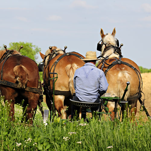 Farming